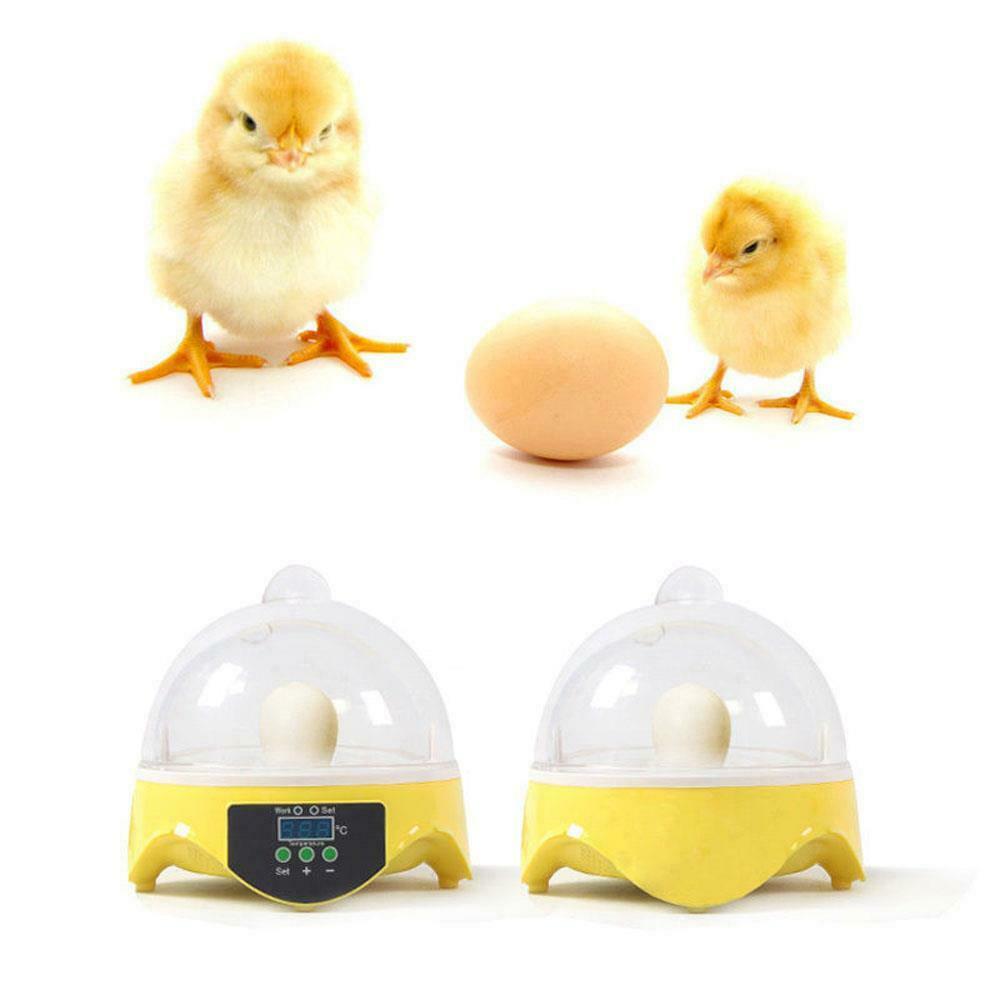 Mini 7 Egg Incubator Hatcher Digital Clear Temperature Control Duck Bird 110V